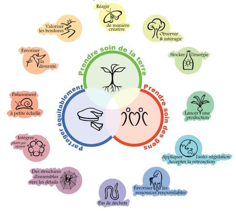 Les principes 12 de conception fonctionnels